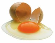 Яйцо, не пастеризованный меланж