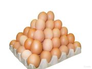 Продаем яйцо куриное 1, 2 категории,  отборное